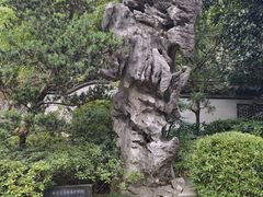 -汇龙潭