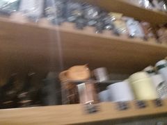 -星巴克臻选(重庆沙坪坝店)