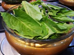 青菜-龍歌自助小火锅(崂山丽达店)