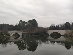 -眉山湿地公园(东坡区)