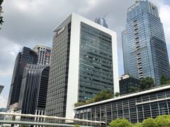 -金戈戈香港豉油鸡(皇庭广场店)