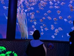 -沈阳海洋探索中心