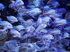 -成都浩海立方海洋公园