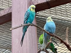 -南宫五洲植物乐园