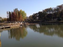 iphone_upload_pic-白塘生态植物园