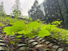 -雁荡山风景名胜区