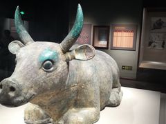-宁夏博物馆
