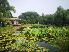 -国家植物园南园