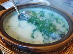 -天乐农家鱼头王(天目湖店)