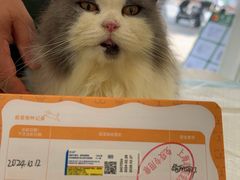 -艾吉宠物医院·疑难杂症转诊中心·猫友好(碧江路院)