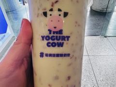 -茉酸奶(春熙路店)