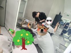 -崇尚GAVIN STYLE臻选