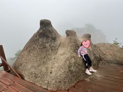 -大岭沟猕猴桃谷风景区