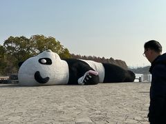 -苏州太湖国家湿地公园
