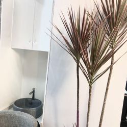 点击看大图 -KIMI HAIR SALON·烫染设计店