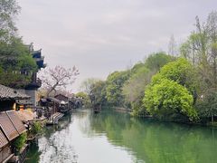 -乌镇景区