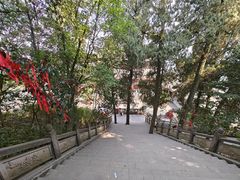 -成都老君山