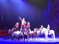 -珠海横琴长隆《卡卡虎奇遇记》