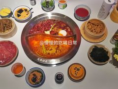 草原毛肚-卤校长重庆火锅(国兴店)