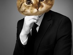 -猫头鹰照相馆(丰科万达店)