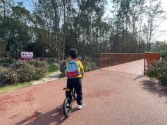 -桤木河湿地公园