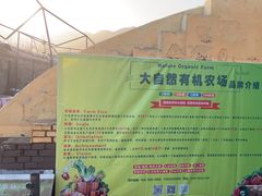 -大自然农场蔬菜草莓采摘园