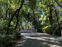 -岳麓山风景名胜区