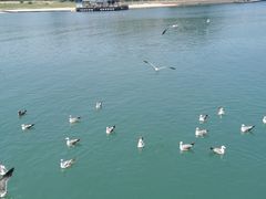 -海驴岛(荣成市)
