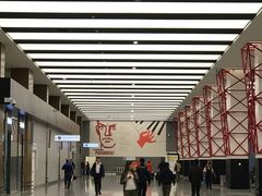 -谢列梅捷沃国际机场