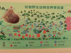 -安徽大青山野生动物世界
