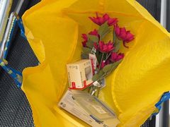 -宜家家居(四元桥商场店)