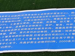 -青藏高原野生动物园