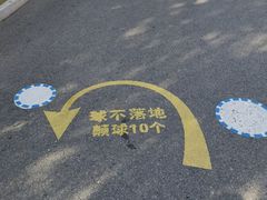 -北京市海淀外国语实验学校