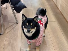 -2326 Coffee Roaster咖啡豆可选店(林肯公园店)