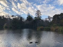 -墨尔本皇家植物园