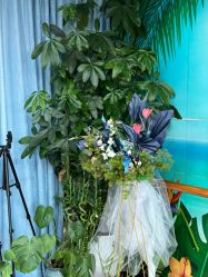 -呼拉汇舞蹈生活馆 Hawaii Hula&Tahiti Dance Studio