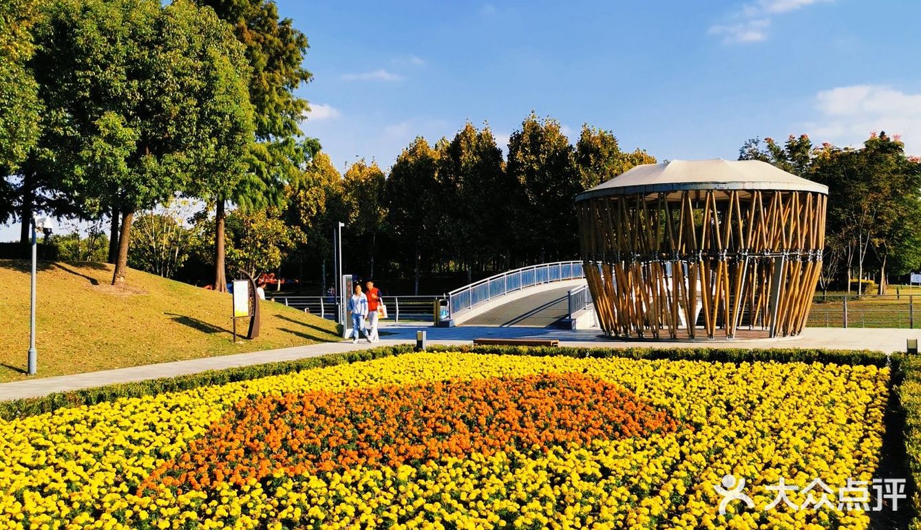 秋意渐浓落叶缤纷华翔绿地