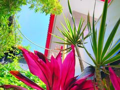 -陈熹公民族美食文化餐厅(中华广场店)