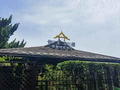 -松茸小馆·云南特色餐厅