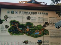 -西双版纳原始森林公园