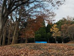 -北海道神宫