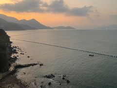 -杨梅坑