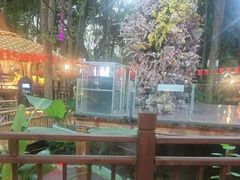 -二荆条·蜀鲜汇城市森林火锅