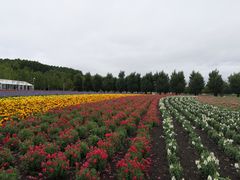 -富田农场
