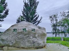 -野鸭湖国家湿地公园