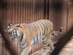 -昆明动物园