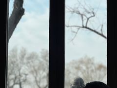 -东兴顺爆肚张