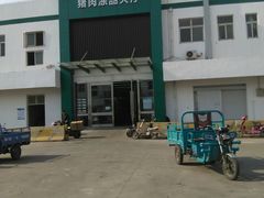 -顺鑫石门市场