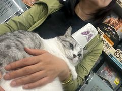 -北京赛佳动物医院