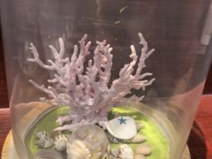 -青岛贝壳博物馆